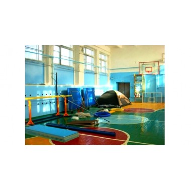 Какое спортоборудование и инвентарь необходимы для спортзалов в школах, ДЮСШ, ВУЗах. Основные критерии и факторы, влияющие на выбор инвентаря и оснащенность залов